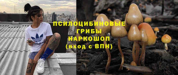 шишки Алексин
