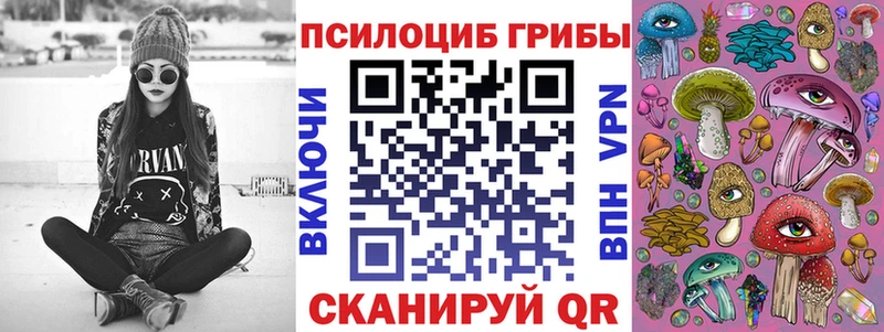 гидра как зайти  Мичуринск  Галлюциногенные грибы Cubensis  где купить  